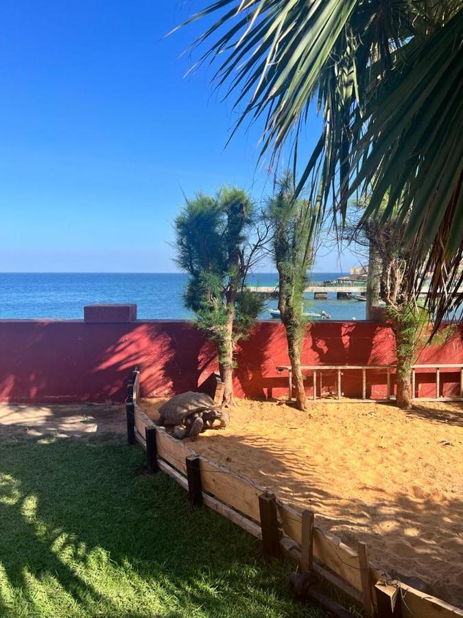 Chez Olivier - Ile De Gorée Zewnętrze zdjęcie